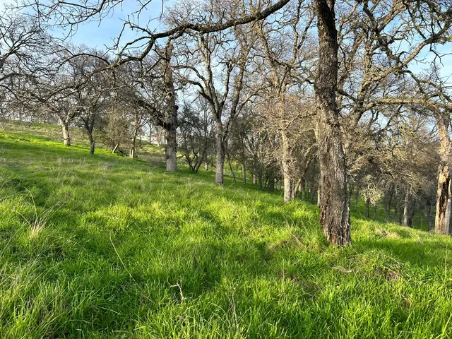 $475,000 | 6651 Gallagher Road, Pilot Hill, CA 95664