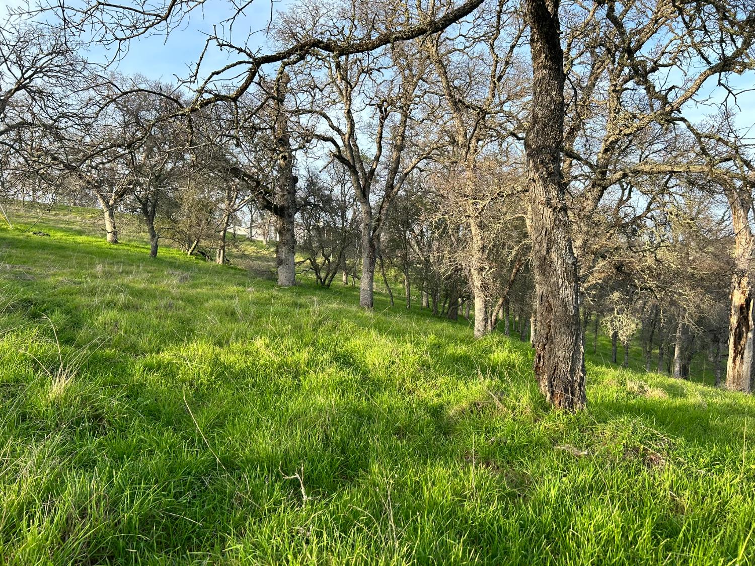 6651 Gallagher Road Pilot Hill, CA 95664 - Photo 37 of 50