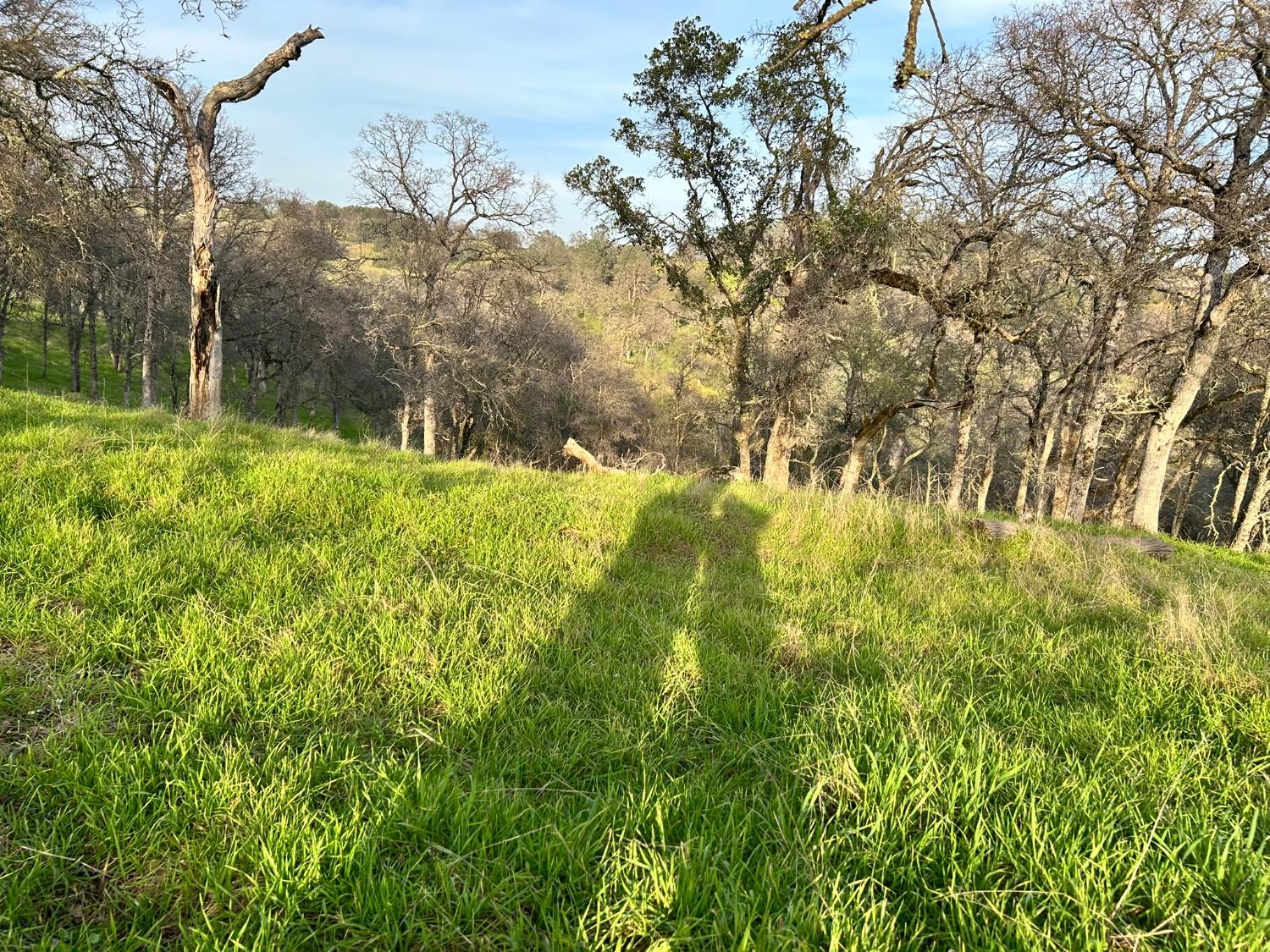 6651 Gallagher Road Pilot Hill, CA 95664 - Photo 38 of 50