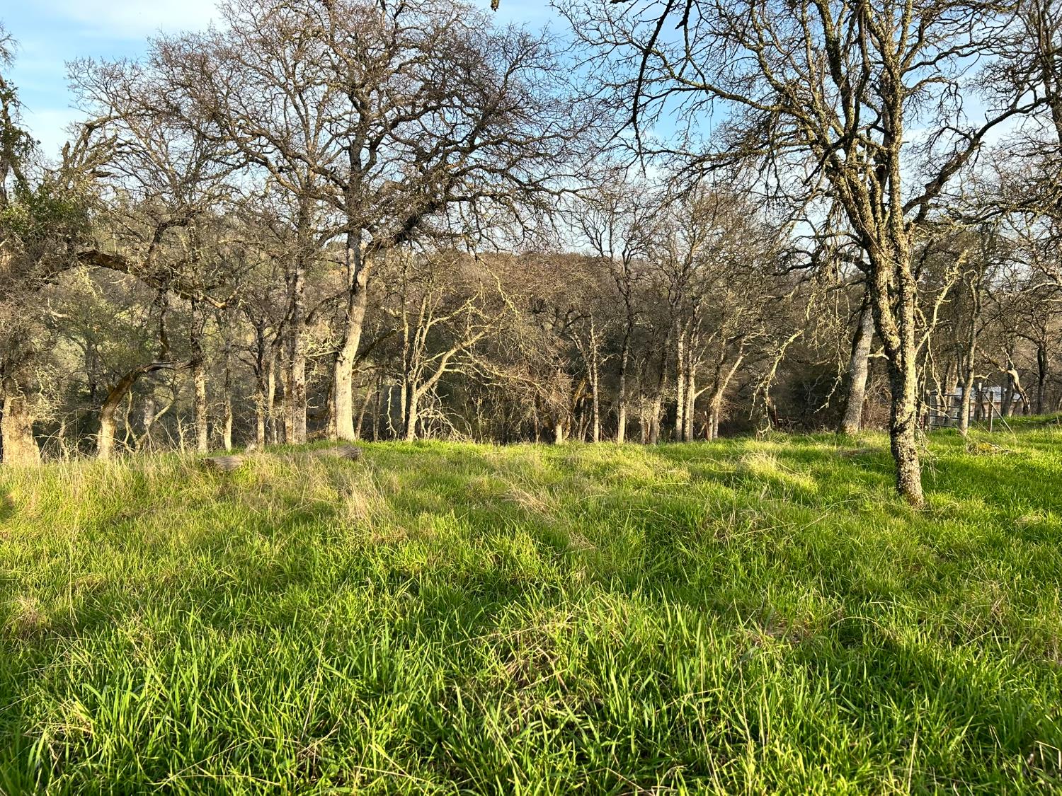 6651 Gallagher Road Pilot Hill, CA 95664 - Photo 39 of 50