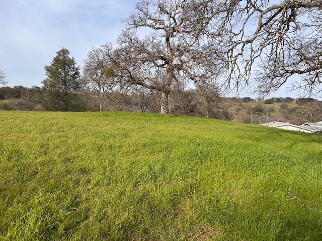 6651 Gallagher Road Pilot Hill, CA 95664 - Photo 40 of 50