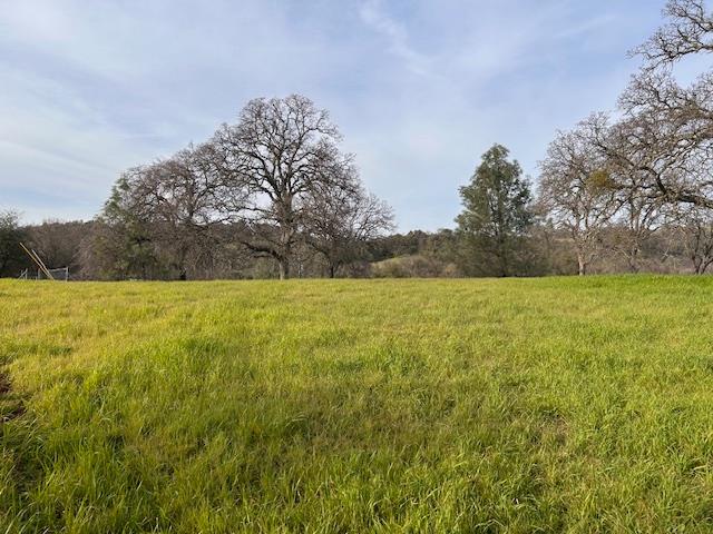 6651 Gallagher Road Pilot Hill, CA 95664 - Photo 41 of 50