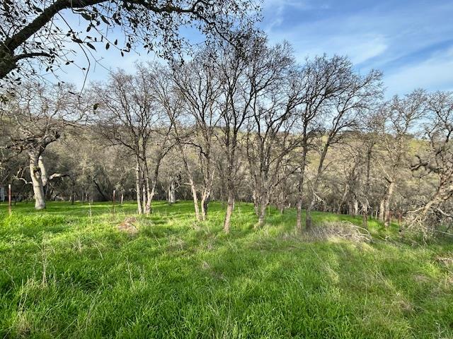 6651 Gallagher Road Pilot Hill, CA 95664 - Photo 44 of 50