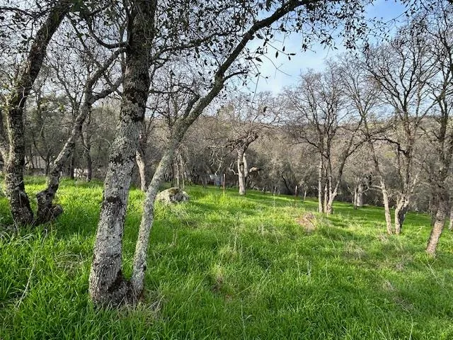 $475,000 | 6651 Gallagher Road, Pilot Hill, CA 95664