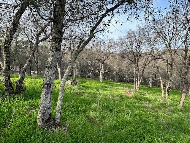 6651 Gallagher Road Pilot Hill, CA 95664 - Photo 45 of 50