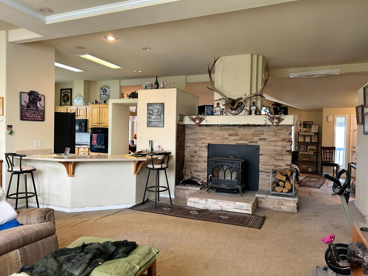 6651 Gallagher Road Pilot Hill, CA 95664 - Photo 9 of 50