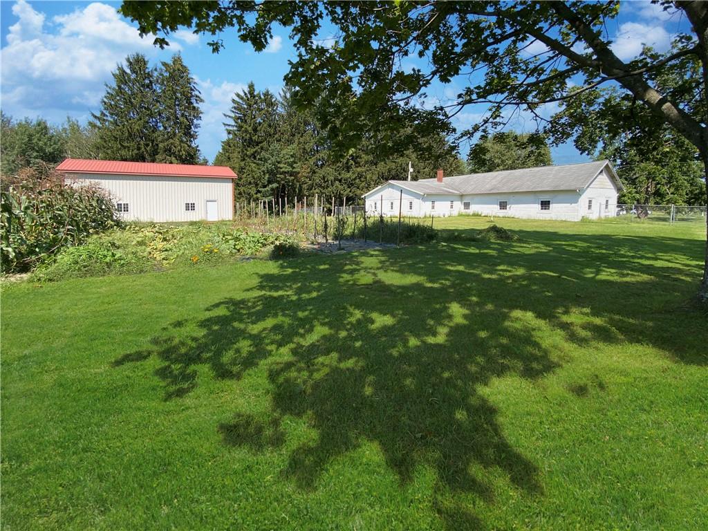 555 West Cornell Road Mercer, PA 16137 - Photo 6 of 25 a view of a field with tree in front of it