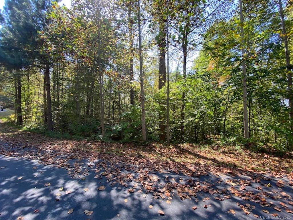 134 & 135 Cross Ridge Drive Rutherfordton, NC 28139 - Photo 1 of 14 a view of a forest with trees