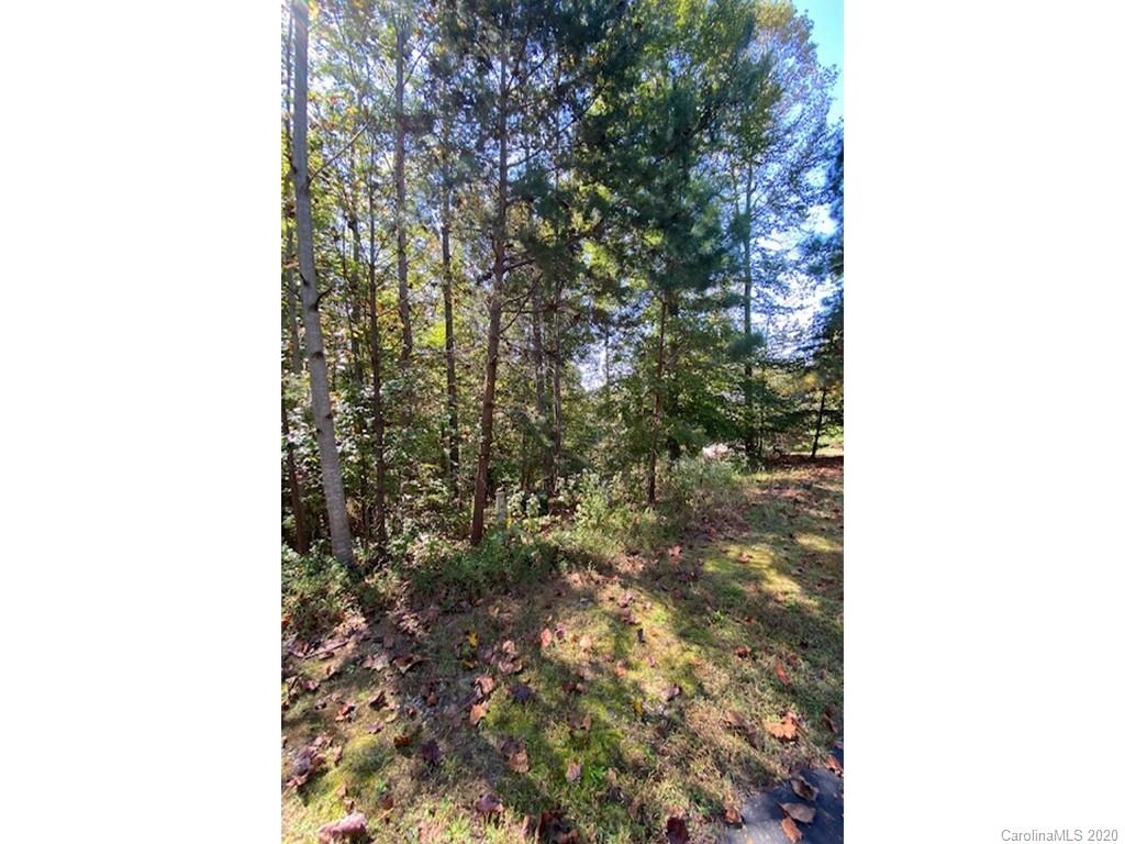 134 & 135 Cross Ridge Drive Rutherfordton, NC 28139 - Photo 2 of 14 a picture of a tree in a house