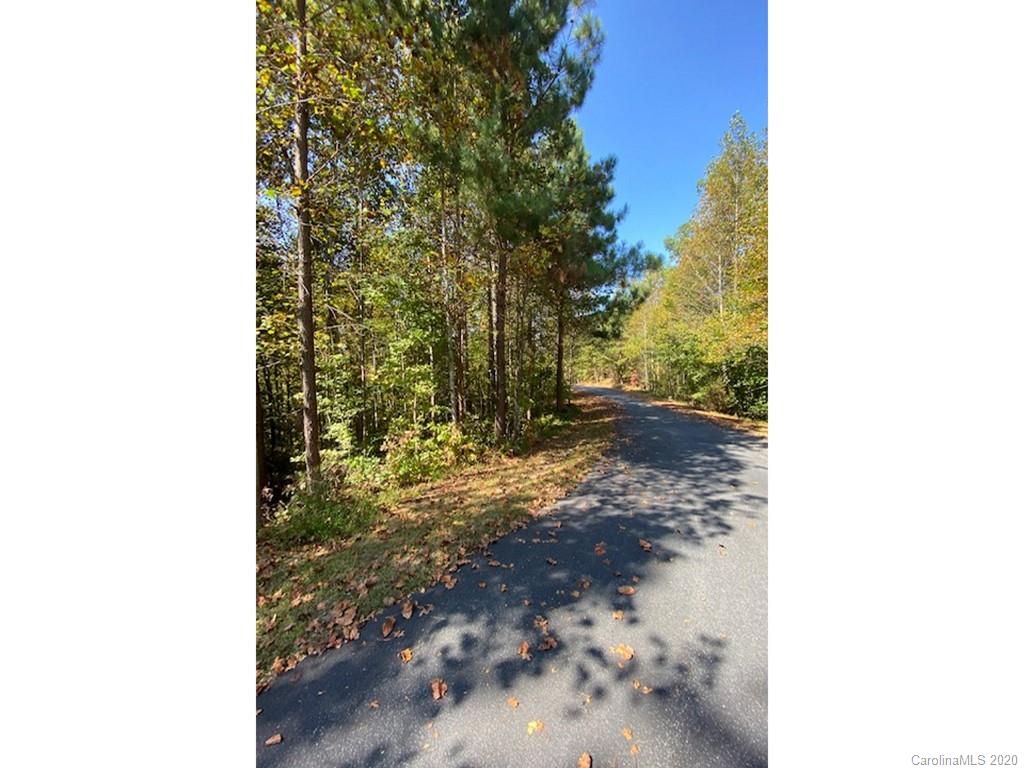 134 & 135 Cross Ridge Drive Rutherfordton, NC 28139 - Photo 3 of 14 a picture of a yard