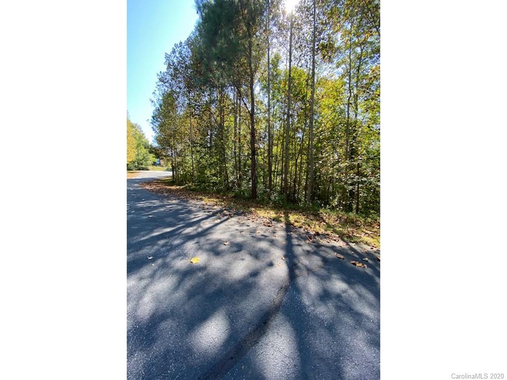 134 & 135 Cross Ridge Drive Rutherfordton, NC 28139 - Photo 4 of 14 a view of a yard