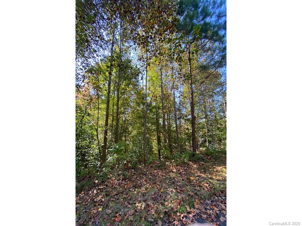 134 & 135 Cross Ridge Drive Rutherfordton, NC 28139 - Photo 6 of 14 a picture of a bench in a forest