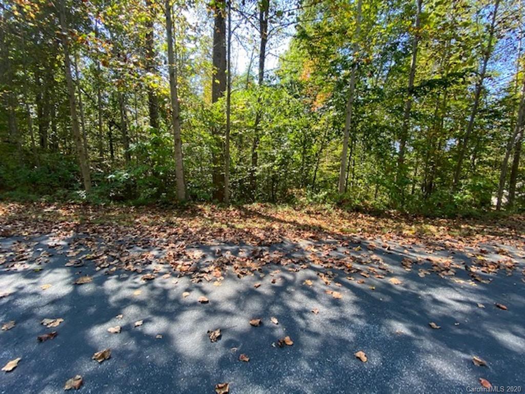 134 & 135 Cross Ridge Drive Rutherfordton, NC 28139 - Photo 7 of 14 a view of a forest with trees