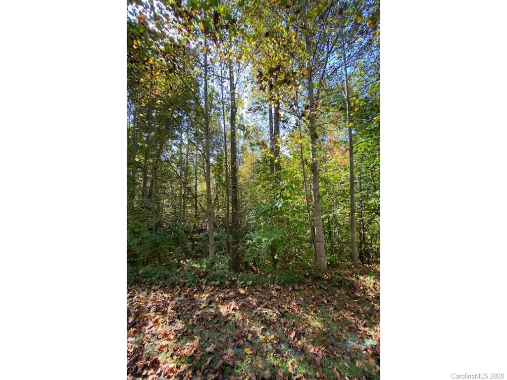 134 & 135 Cross Ridge Drive Rutherfordton, NC 28139 - Photo 8 of 14 a picture of a yard with trees