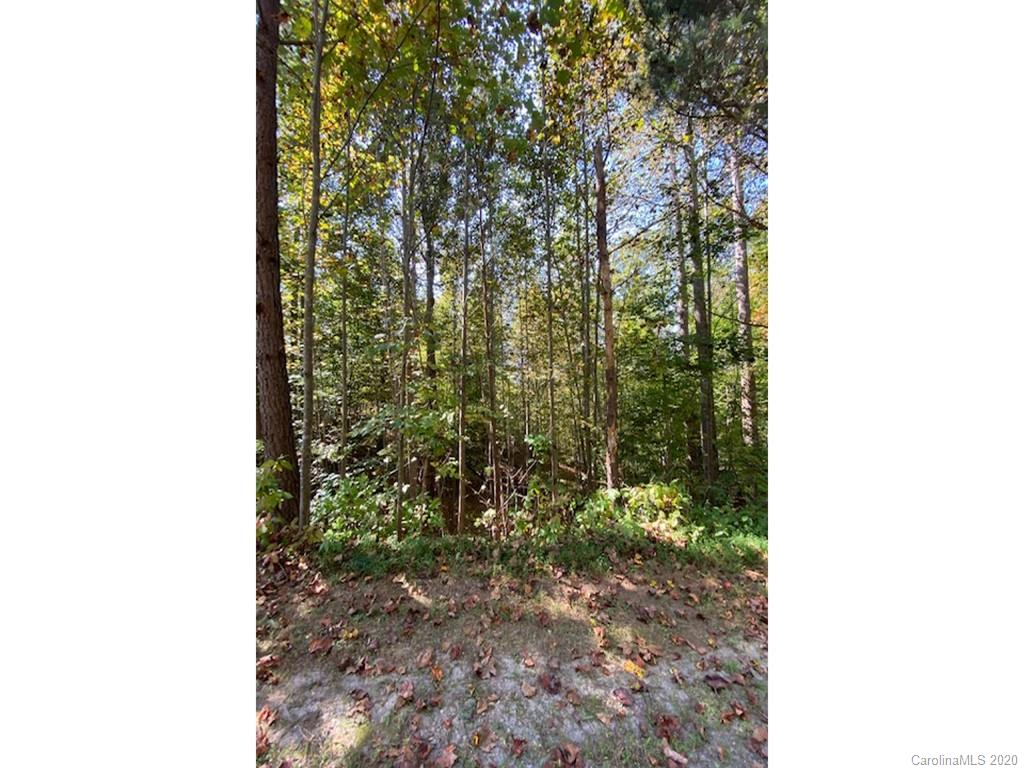 134 & 135 Cross Ridge Drive Rutherfordton, NC 28139 - Photo 10 of 14 a picture of a yard with trees