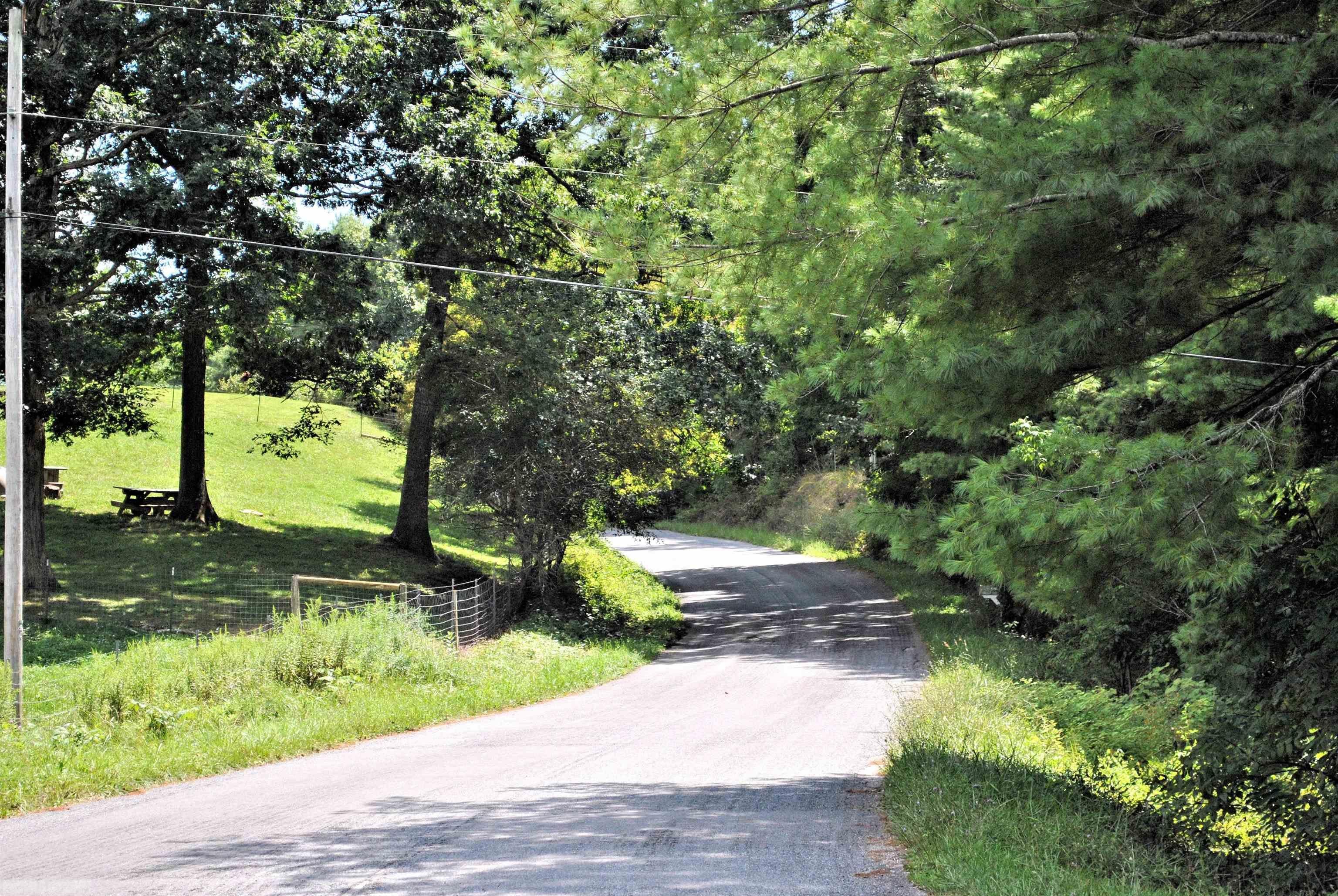 Tbd 153.054-ac Tbd 153.054-ac Chestnut Ridge Road Riner, VA 24149 - Photo 2 of 31 Gallery Image 2