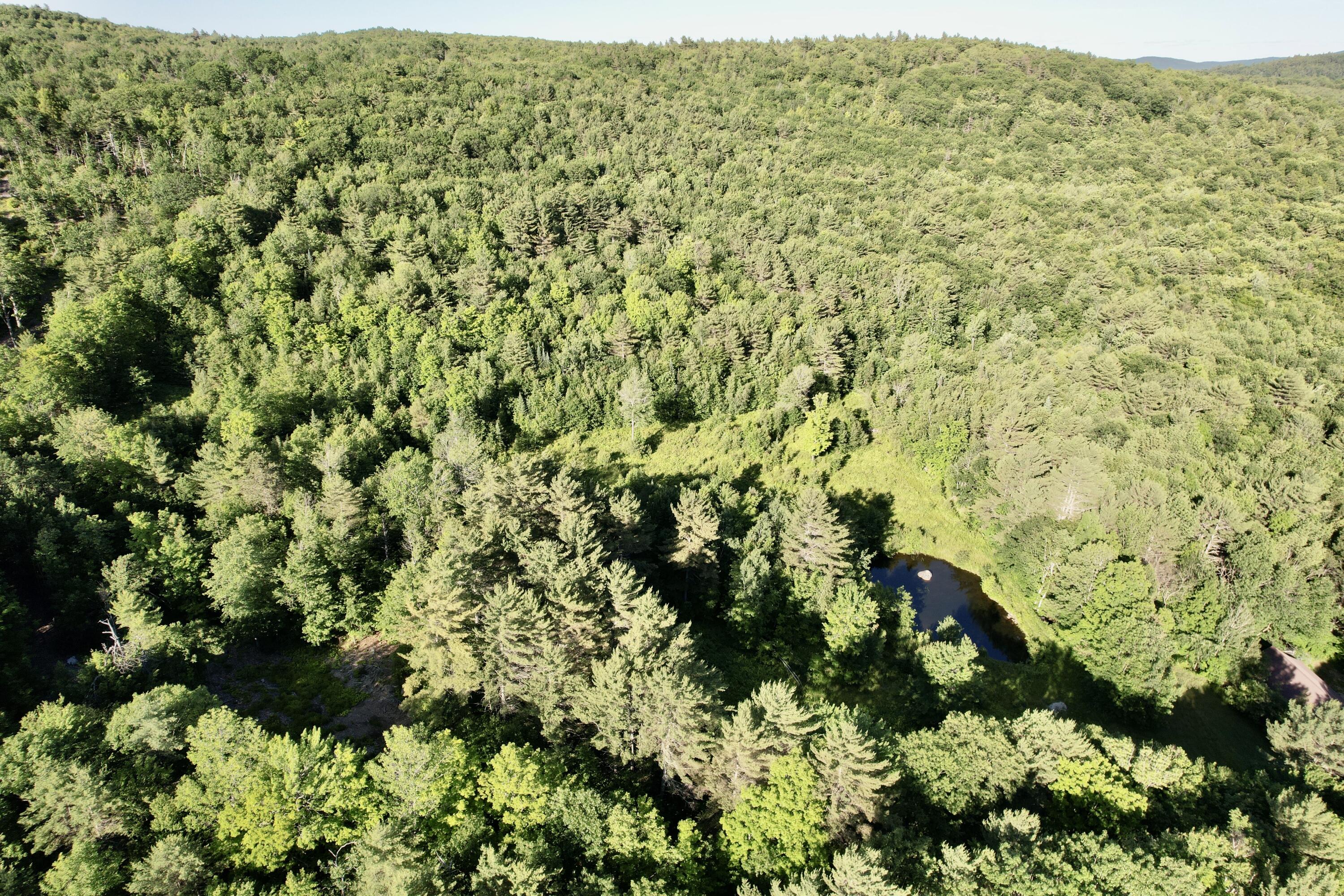 1271 Crockett Ridge Road Norway, ME 04268 - Photo 30 of 33 DJI_0341
