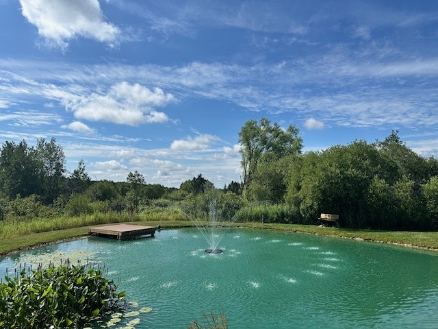 10284 Mattoon Road Prattsburgh, NY 14873 - Photo 13 of 16 Pond with a water feature!
