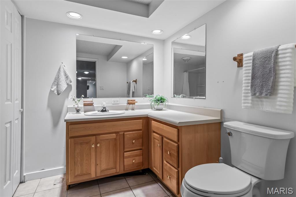 3285 Brook Stone Road Festus, MO 63028 - Photo 53 of 94