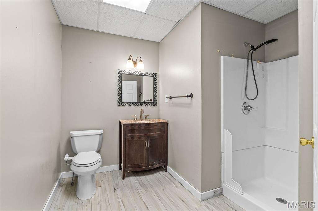 3285 Brook Stone Road Festus, MO 63028 - Photo 68 of 94