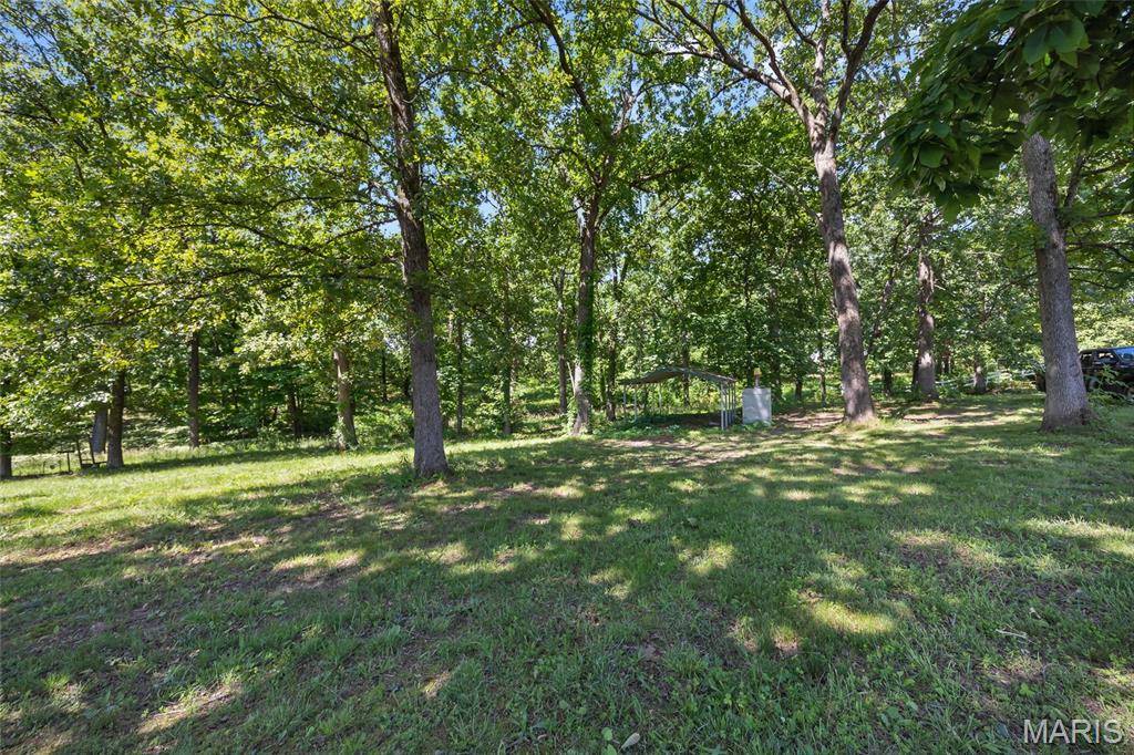 3285 Brook Stone Road Festus, MO 63028 - Photo 79 of 94