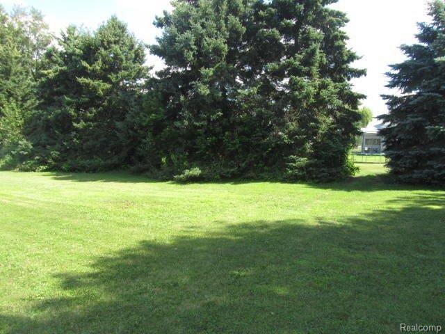 9790 Dolan Road Columbus, MI 48063 - Photo 22 of 22 2013-07-06 03.23.18.jpg