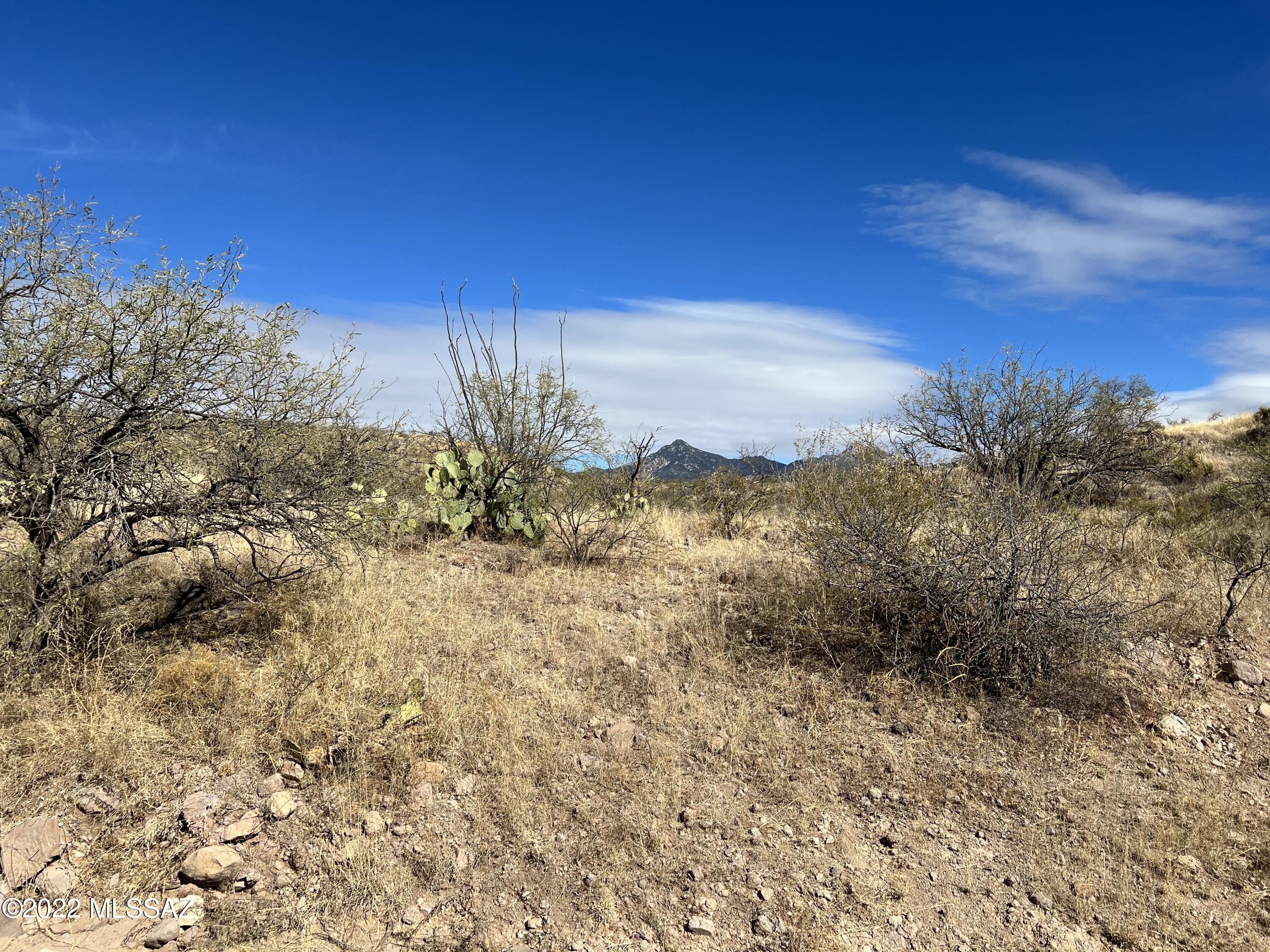 Tbd Camino Josefina, Unit 99A&C Rio Rico, AZ 85648 - Photo 1 of 13
