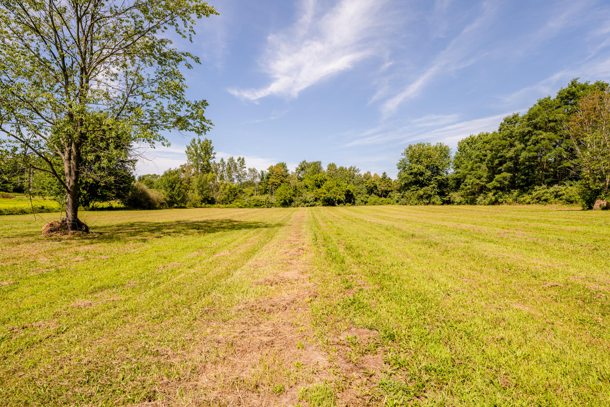 5711 Riverside Road Coloma, MI 49038 - Photo 28 of 30 Riverside-128