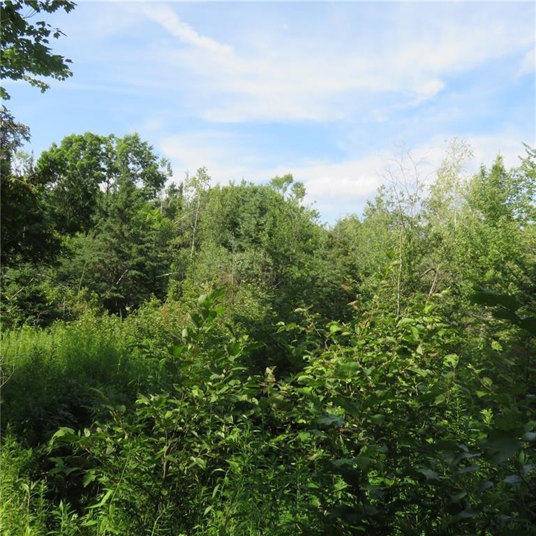 247 Phillips Road Glenburn, ME 04401 - Photo 13 of 14 Photo