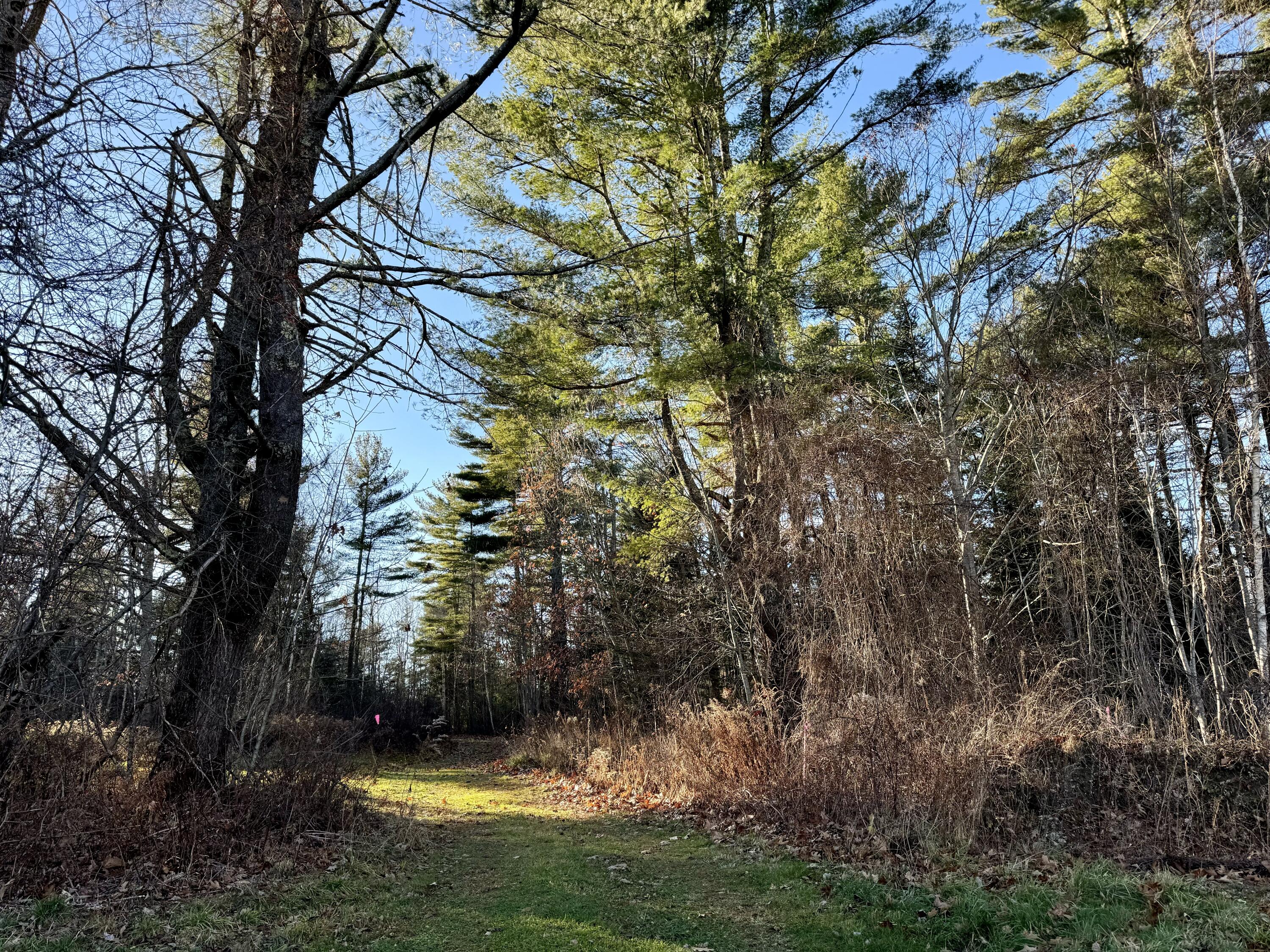 2a Elementary Way Belfast, ME 04915 - Photo 6 of 14 IMG_7203