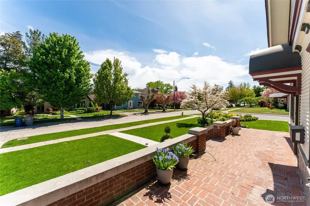 a view of a park with large trees