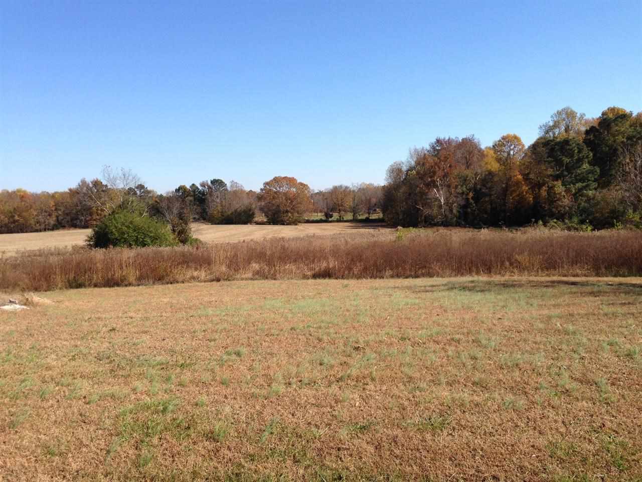 473 Charlie Morgan Road Louisburg, NC 27549 - Photo 14 of 20 Gallery Image 14