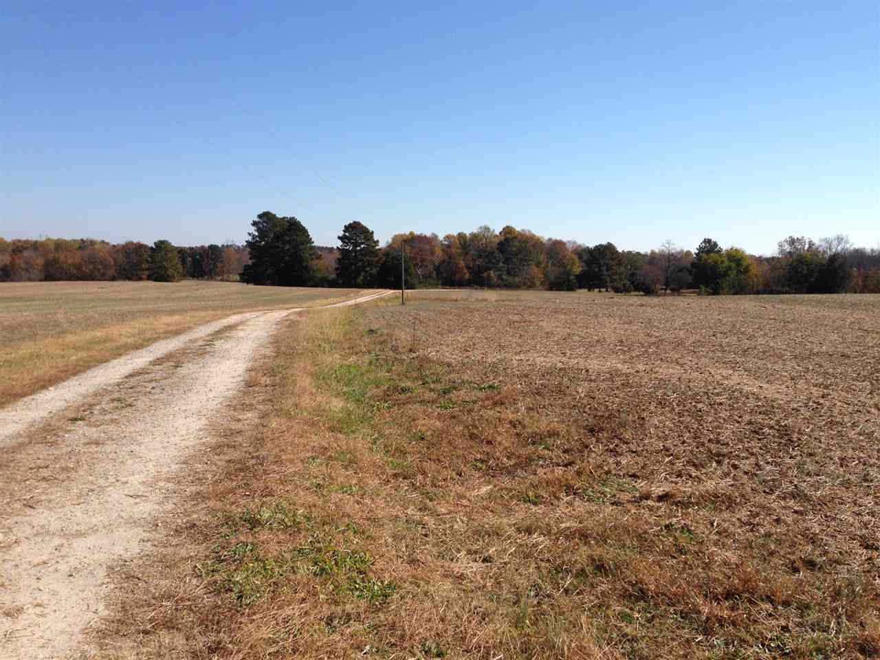 473 Charlie Morgan Road Louisburg, NC 27549 - Photo 3 of 20 Gallery Image 3