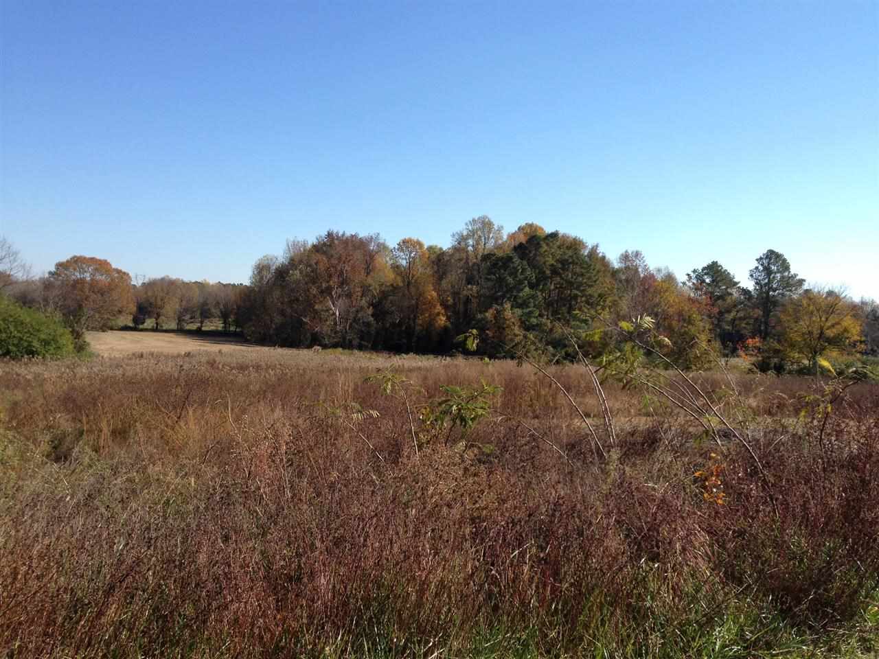 473 Charlie Morgan Road Louisburg, NC 27549 - Photo 5 of 20 Gallery Image 5