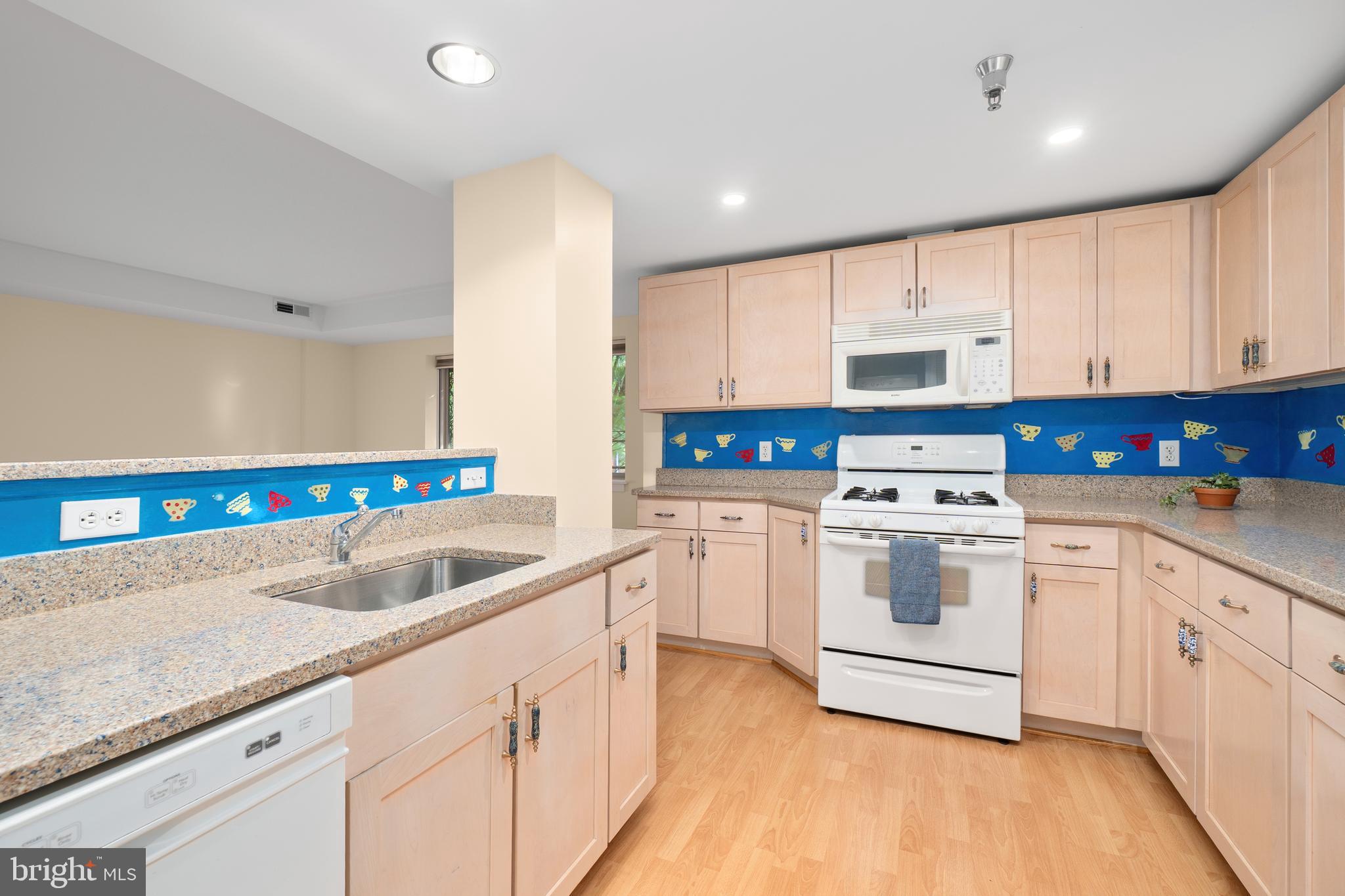 7981 Eastern Avenue Northwest, Unit 219 Silver Spring, MD 20910 - Photo 6 of 45 Kitchen w/ quartz counters & gas cooking