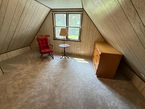 16683 Winters Road Grass Lake, MI 49240 - Photo 20 of 37 IMG_0223