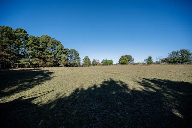 a view of a tree in the middle of a yard