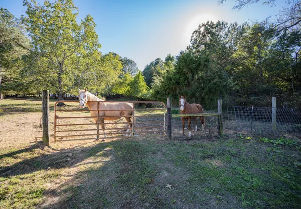 a garden view with a seating space