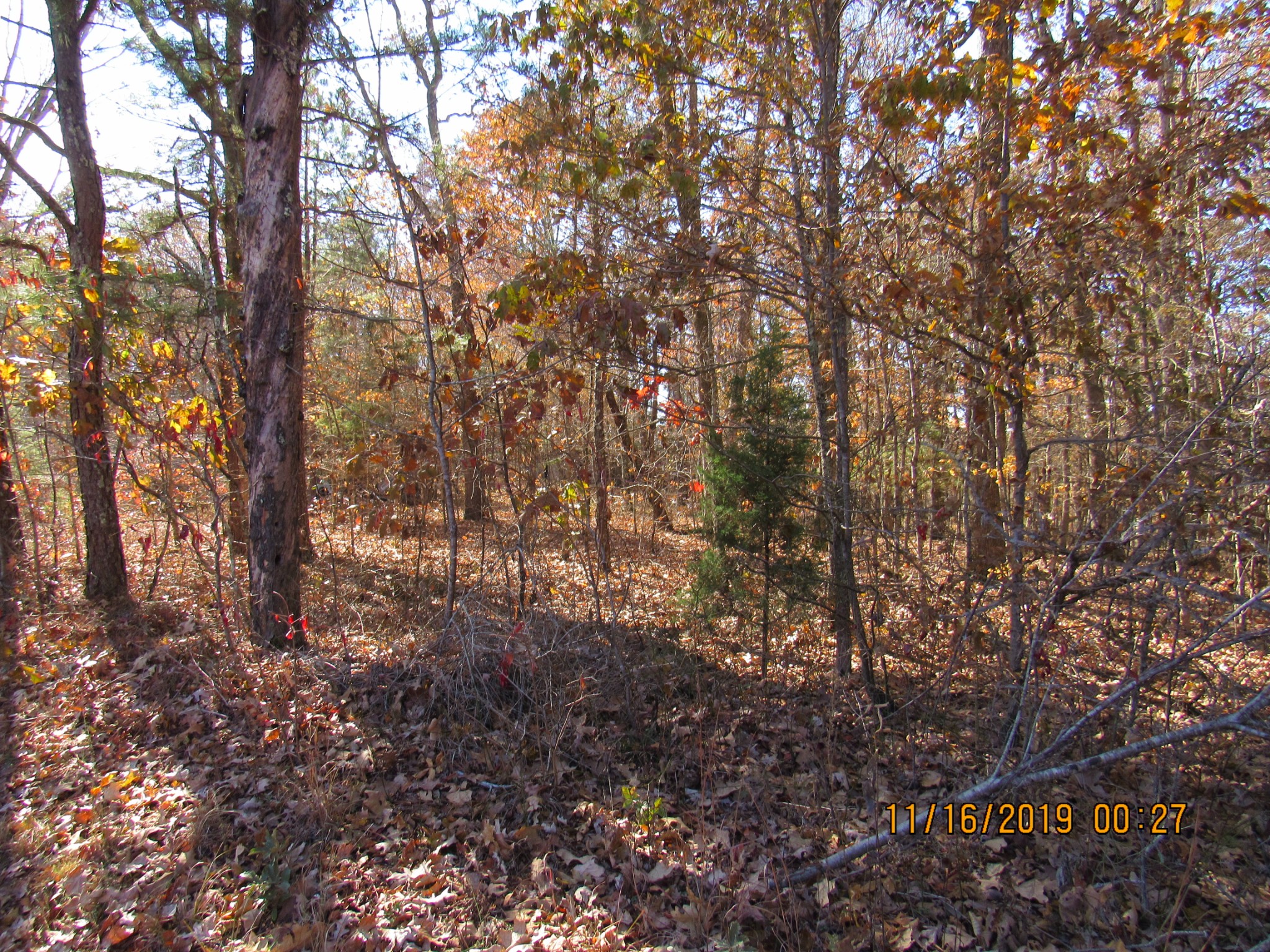 0 CCC Road McEwen, TN 37101 - Photo 1 of 6