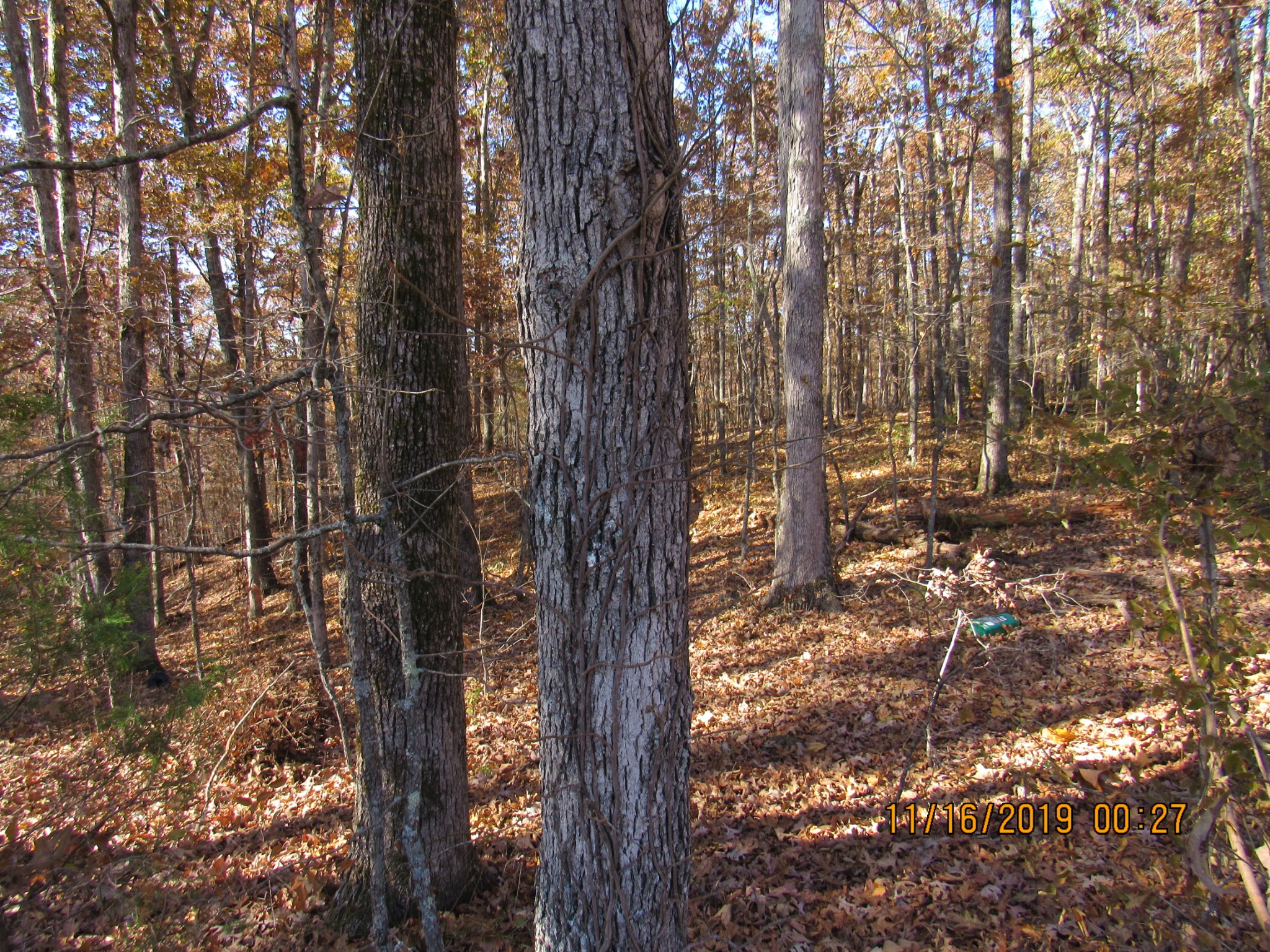 0 CCC Road McEwen, TN 37101 - Photo 3 of 6