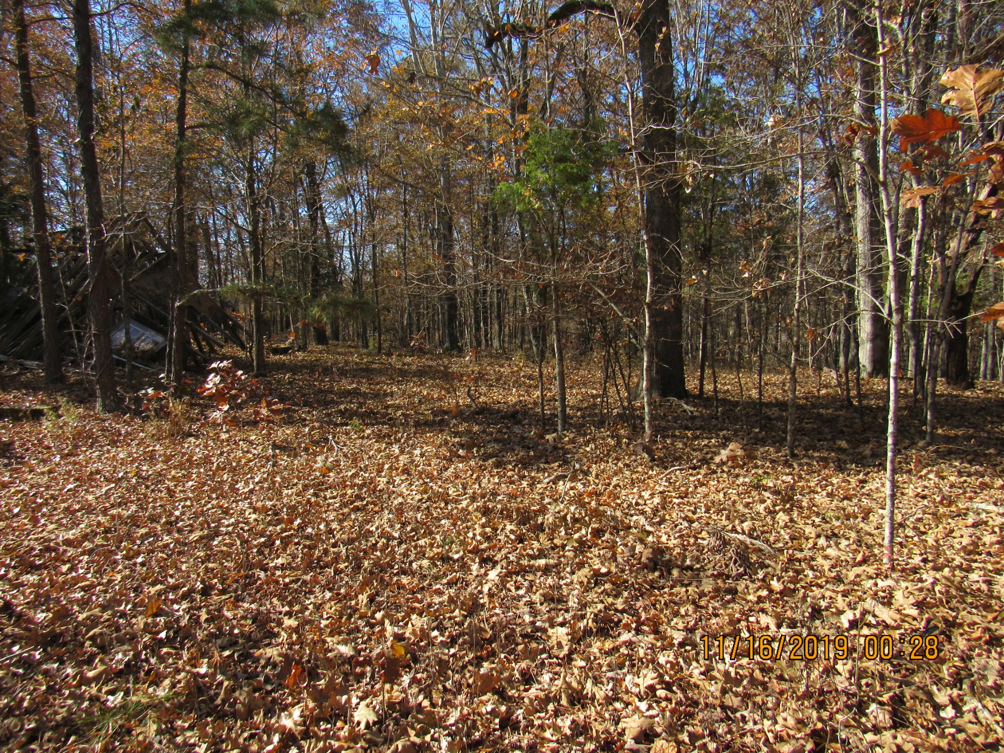 0 CCC Road McEwen, TN 37101 - Photo 4 of 6 a backyard of a house with lots of green space