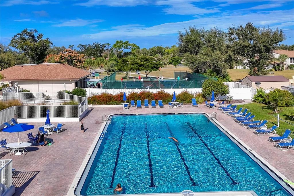 680 White Pine Tree Road, Unit 61 Venice, FL 34285 - Photo 31 of 40 a view of a swimming pool with a lounge chairs
