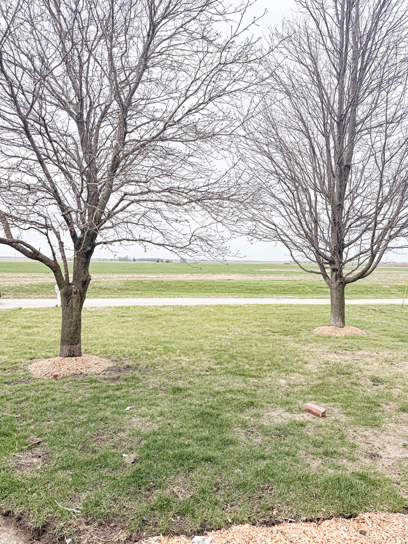 2308 2010 East Watseka, IL 60970 - Photo 32 of 32