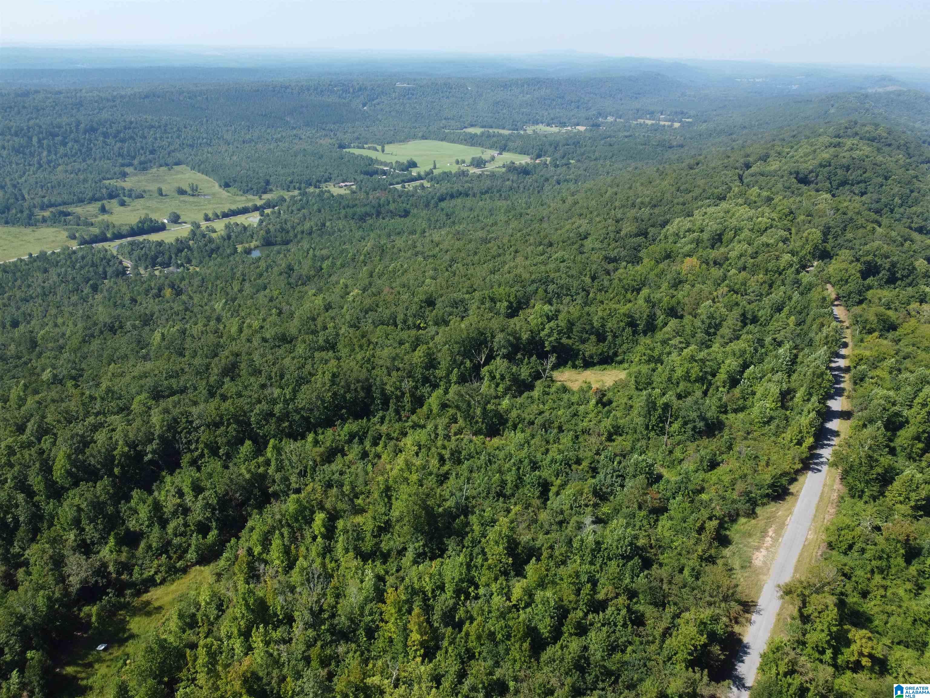 0 Beaver Mountain Road Ashville, AL 35953 - Photo 5 of 40