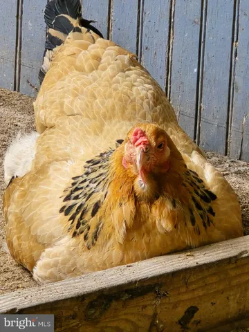 a view of towel hanging chair