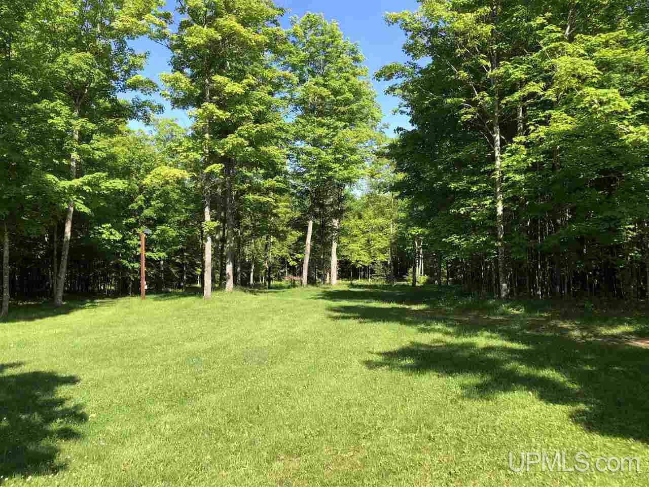 N696 Thornton Road Trenary, MI 49891 - Photo 15 of 39 Gallery Image 15