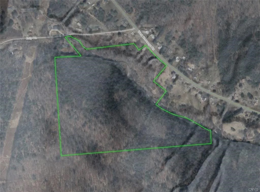 153 West Chenango Road Castle Creek, NY 13744 - Photo 18 of 23 Gallery Image 18