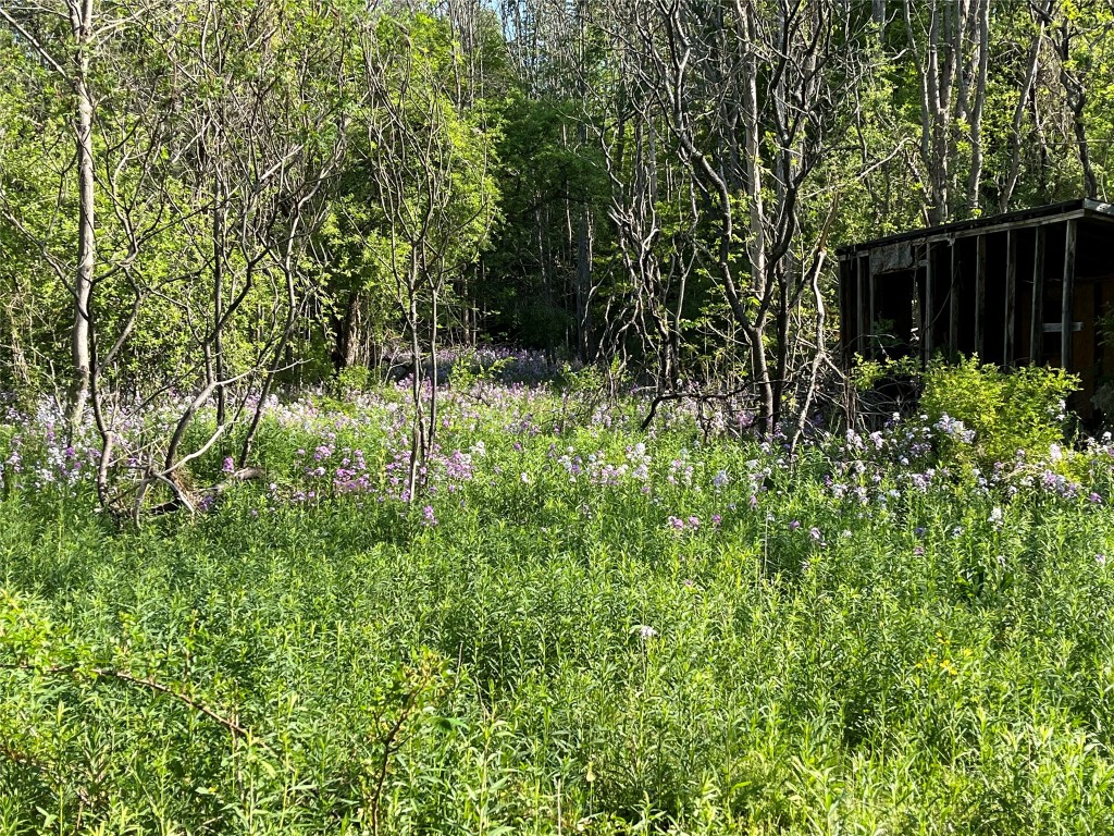 153 West Chenango Road Castle Creek, NY 13744 - Photo 8 of 23 Gallery Image 8