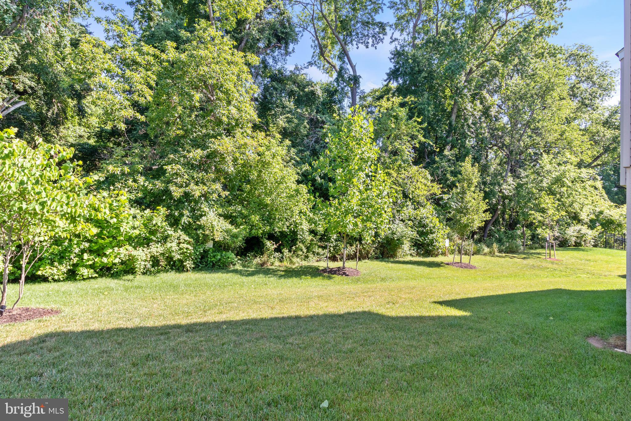 11525 Neon Road Fort Washington, MD 20744 - Photo 46 of 46 Gallery Image 46