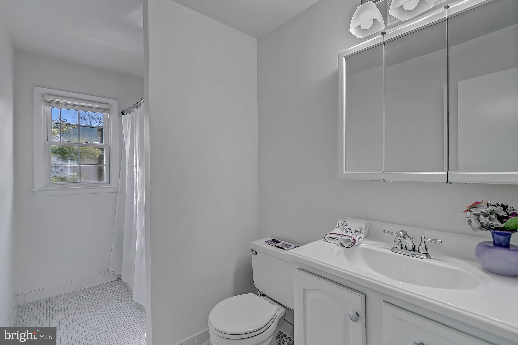 4513 Lees Corner Road Chantilly, VA 20151 - Photo 18 of 28 Primary full bath
